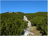 Planina Ravne - Kapelica na Molički planini